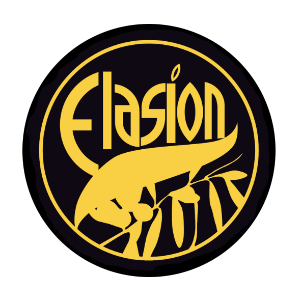 logo elasion 2024