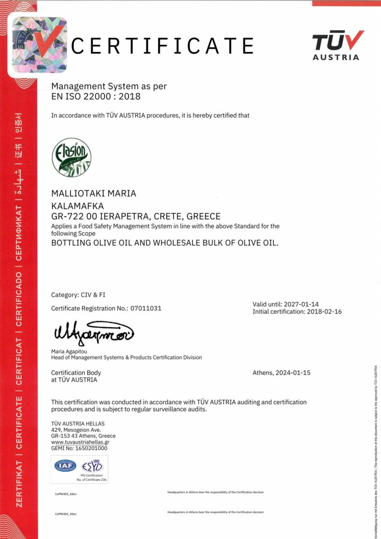 CERT MALLIOTAKI 22000 2024 EN.pdf