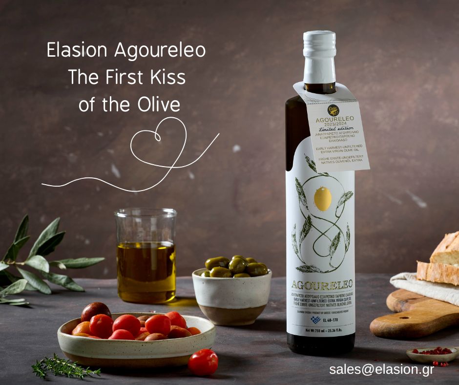agoureleo_elasion